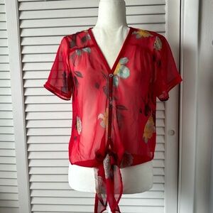 Kimchi Blue sheer Top